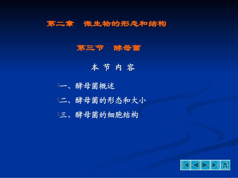 酵母菌的形态结构_第2页