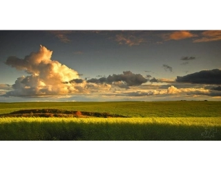 那些优美的图图【清晰图片集】