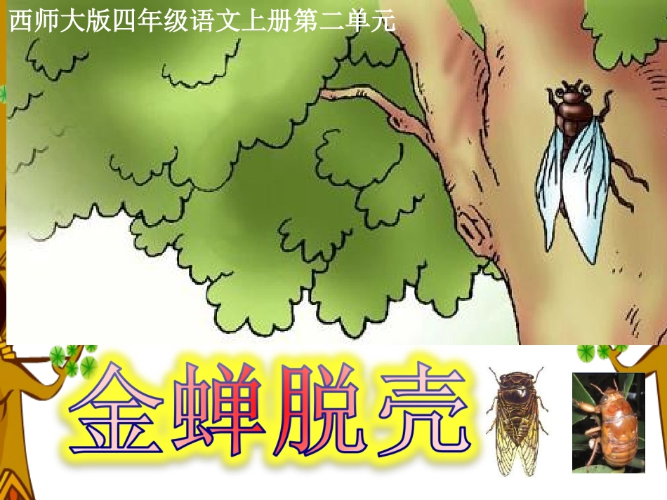 西师大版小学四年级上册语文第8课《金蝉脱壳》课件PPT_第1页
