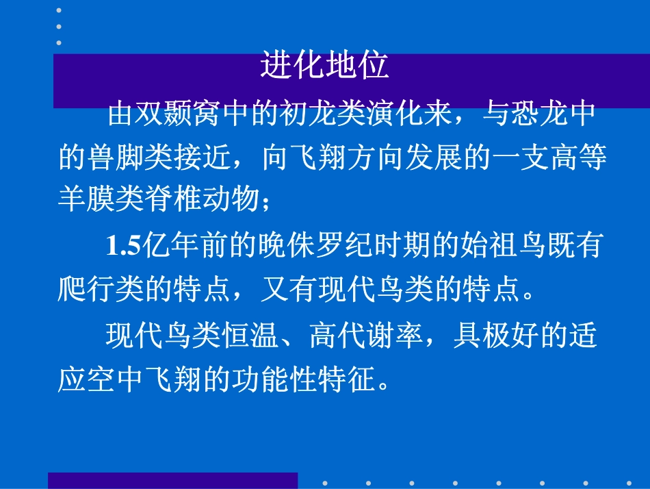 适应陆生飞翔的恒温动物_第2页
