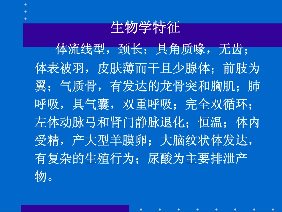 适应陆生飞翔的恒温动物_第3页