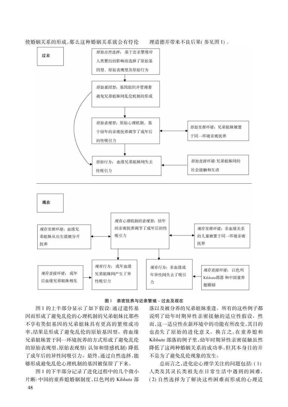 进化论心理学_自然选择与人之本性_第3页