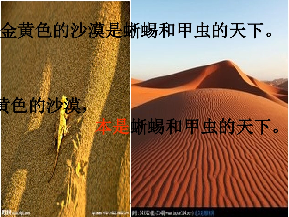 人教版四年级语文下册《和我们一样享受春天》课件PPT_第3页