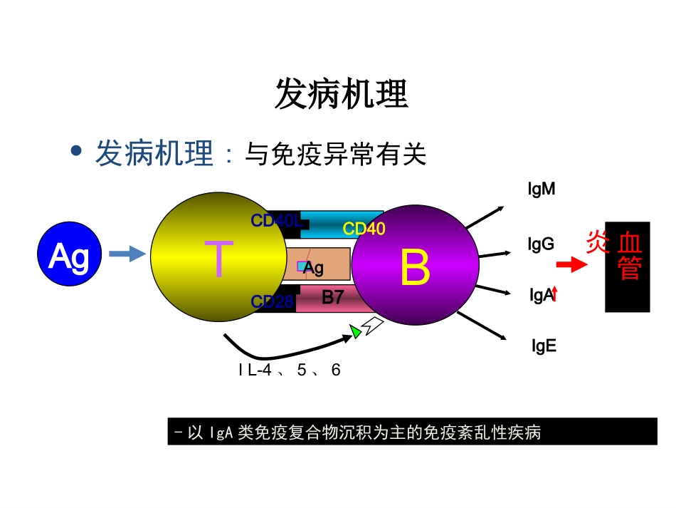 过敏性紫癜病理生理_第3页