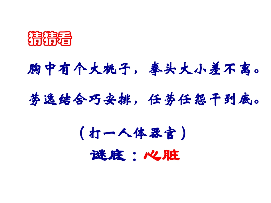 输送血液的泵心脏ppt_第2页