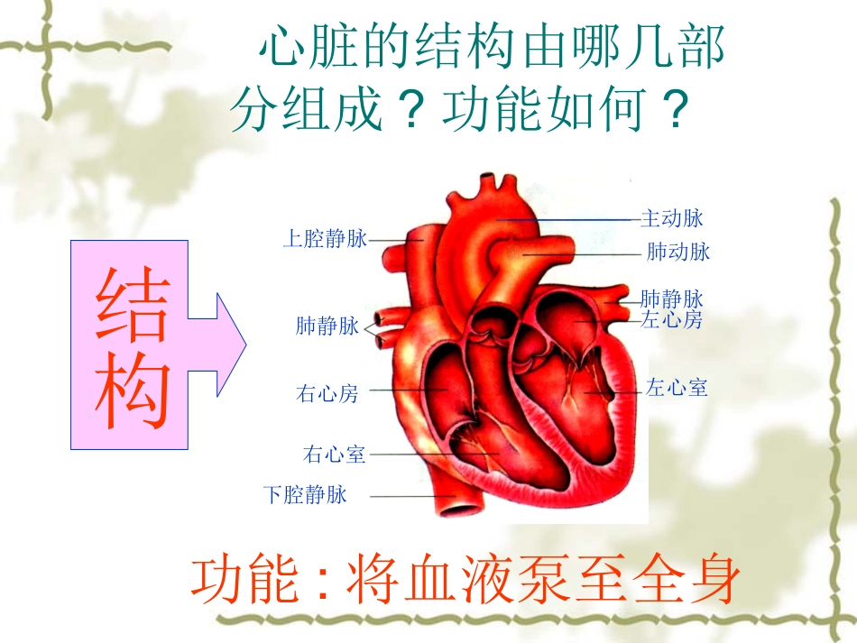 输送血液泵----心脏(1)_第3页
