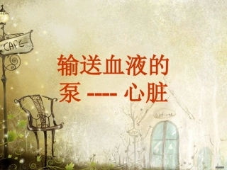 输送血液泵----心脏(1)