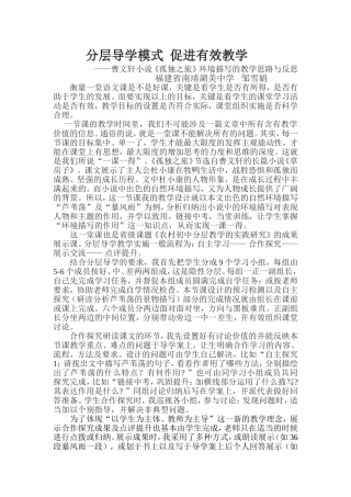 《孤独之旅》教学反思-(2)