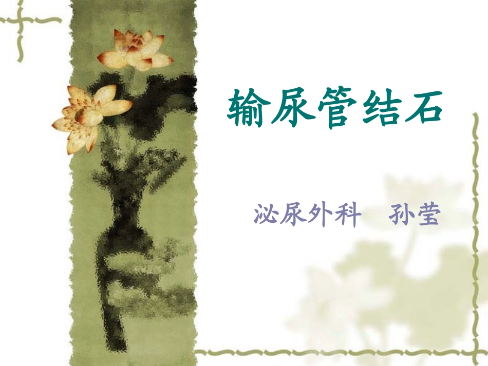 输尿管结石讲课定稿版_第1页