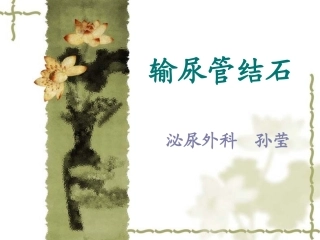 输尿管结石讲课定稿版