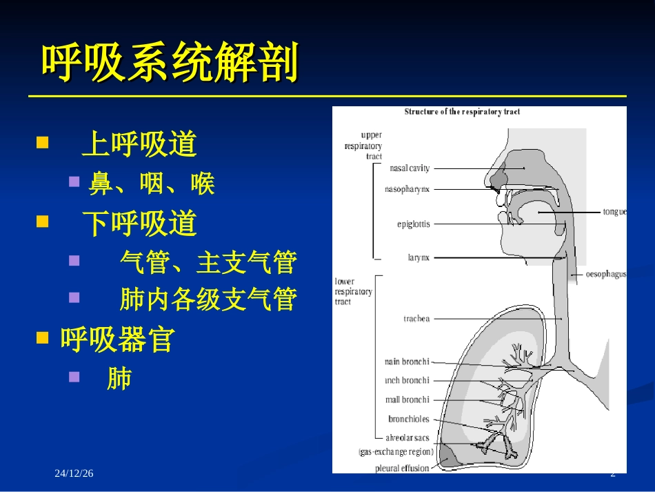 辅助呼吸技术_第2页