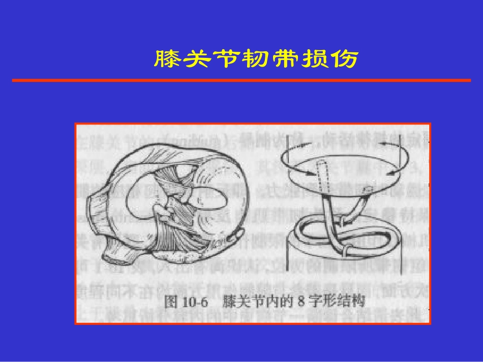 踝关节韧带损伤_第2页