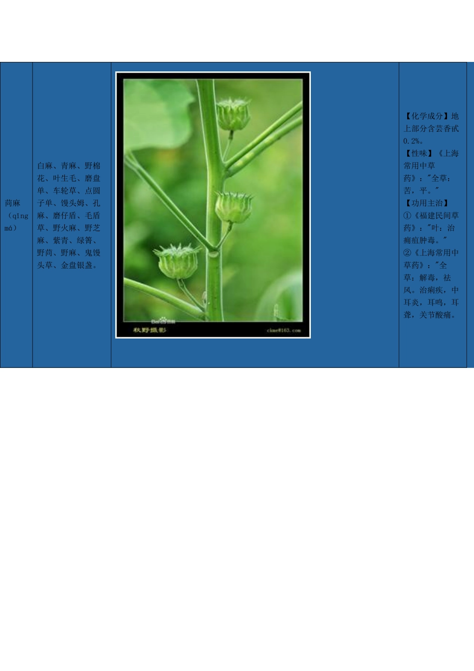 路边常见野生植物志_第2页