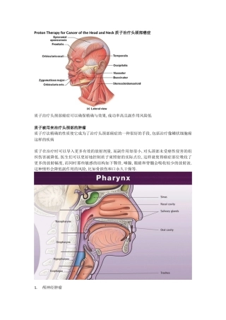 质子治疗头颈部肿瘤