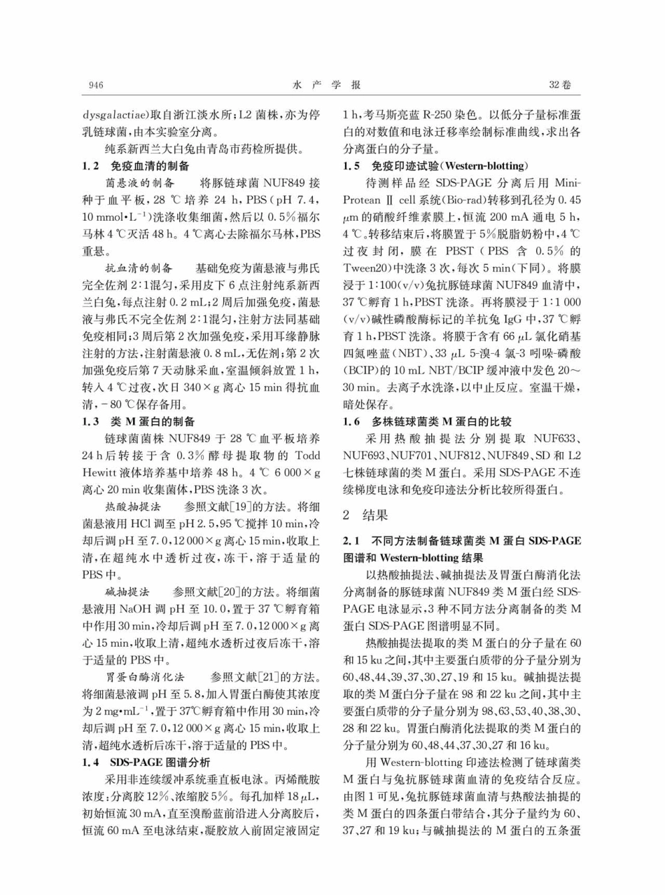 豚链球菌和停乳链球菌类M蛋白及其抗原性分析.pdf_第2页