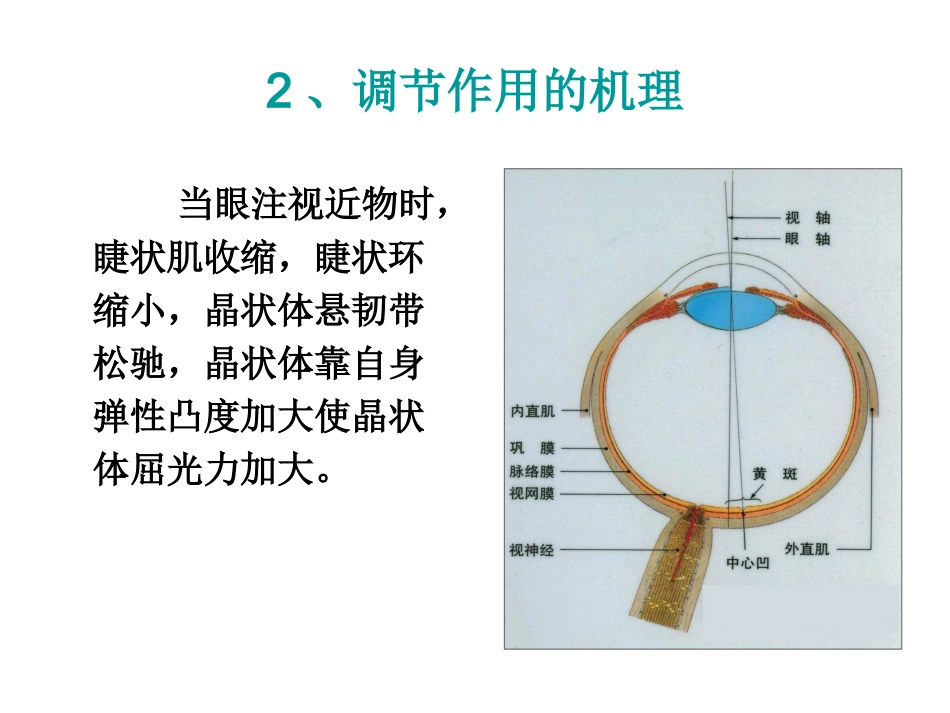 调节集合与视疲劳_第3页