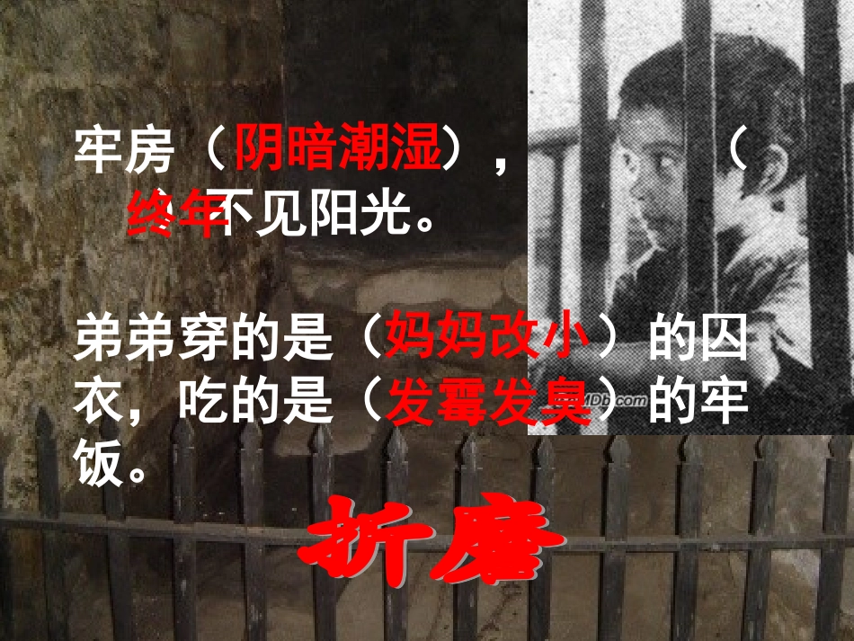 课件  我的弟弟小萝卜头_第3页