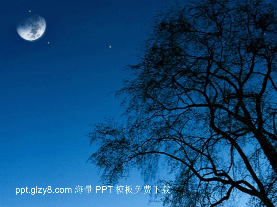 精美动态PPT模板免费下载_第1页