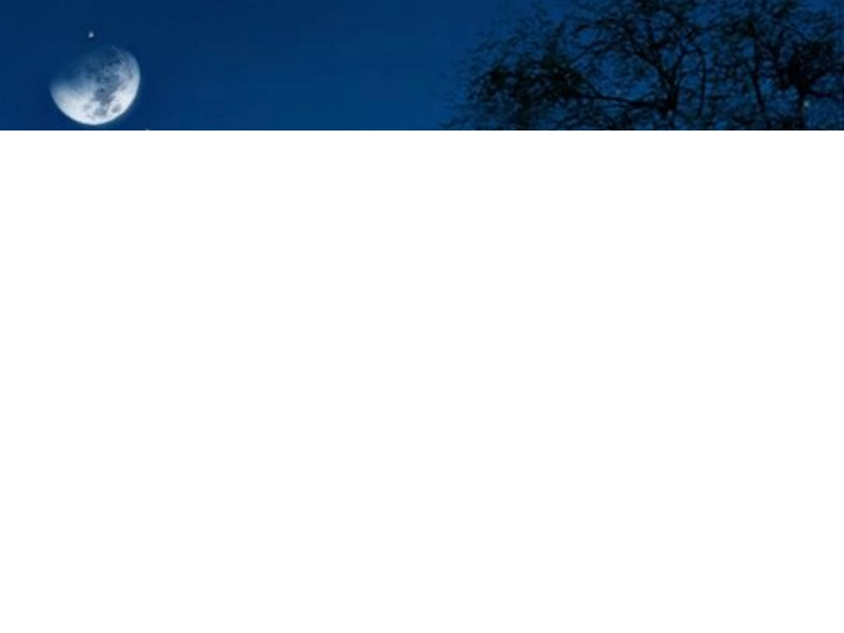 精美动态PPT模板免费下载_第2页