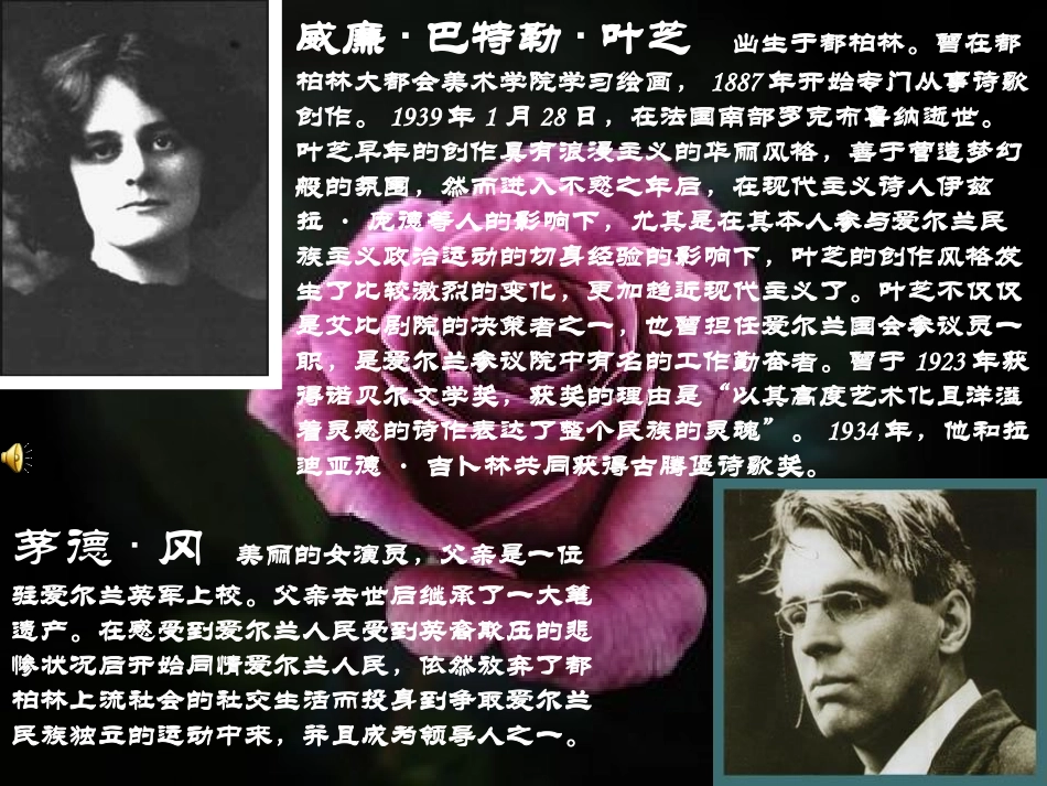 诗歌推荐 当你老了 可是你没有_第2页
