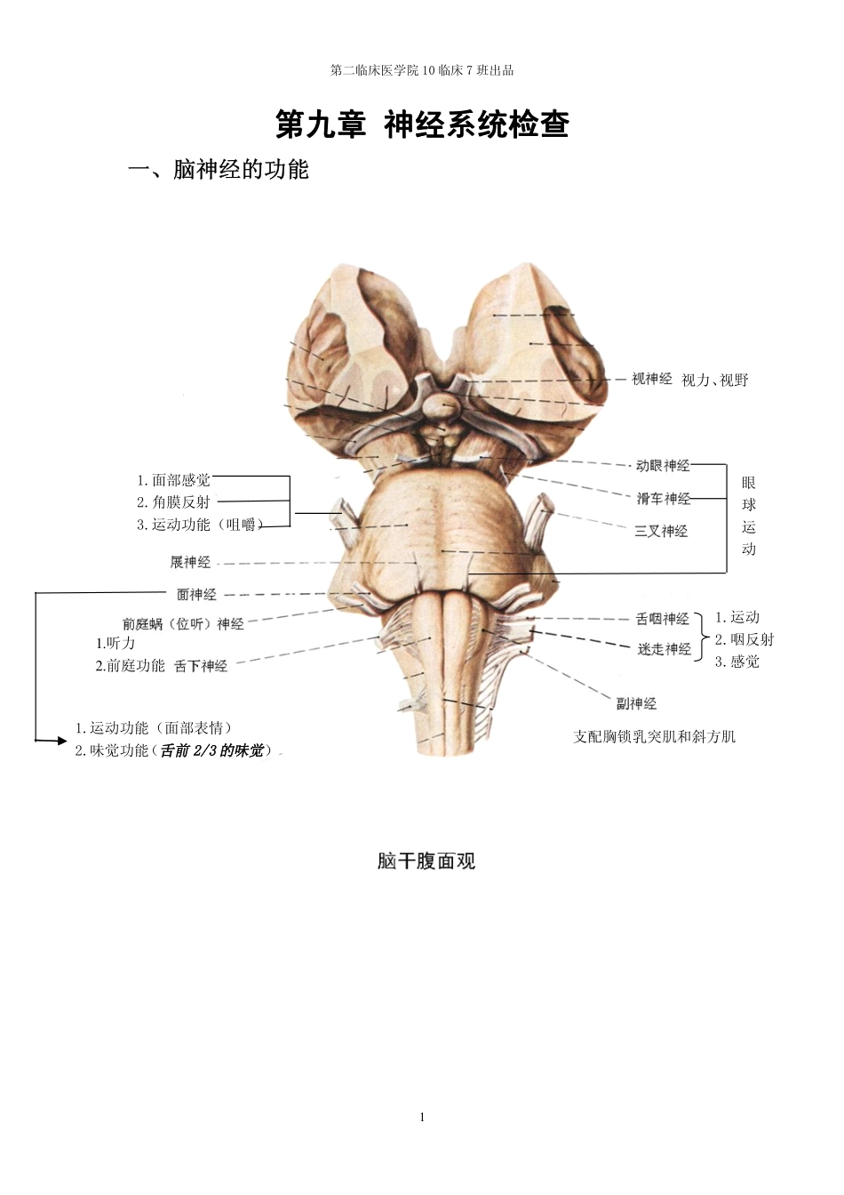 诊断学期末复习重点——诊断3临床7班出品_第1页