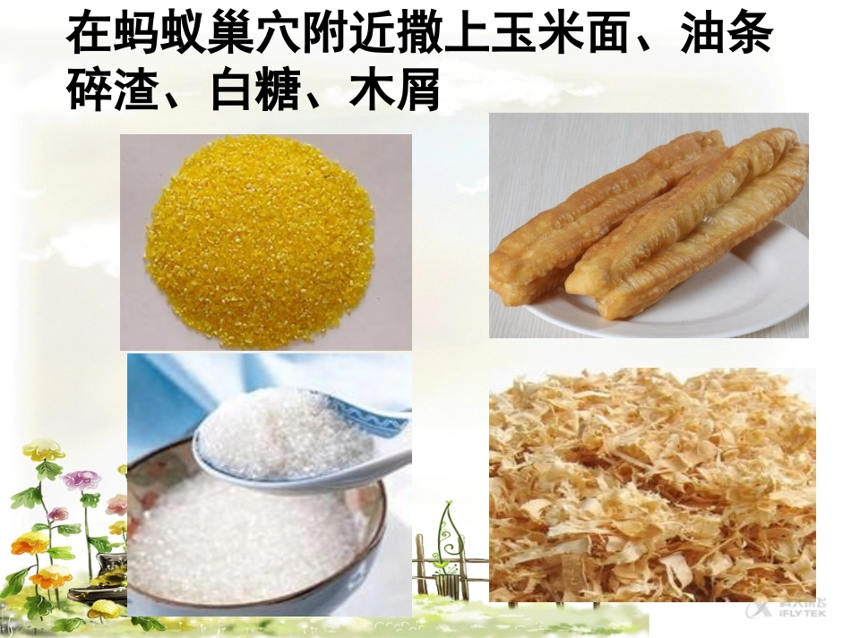 【素材】《动物行为的生理基础》探究蚂蚁的觅食行为(苏教)_第2页