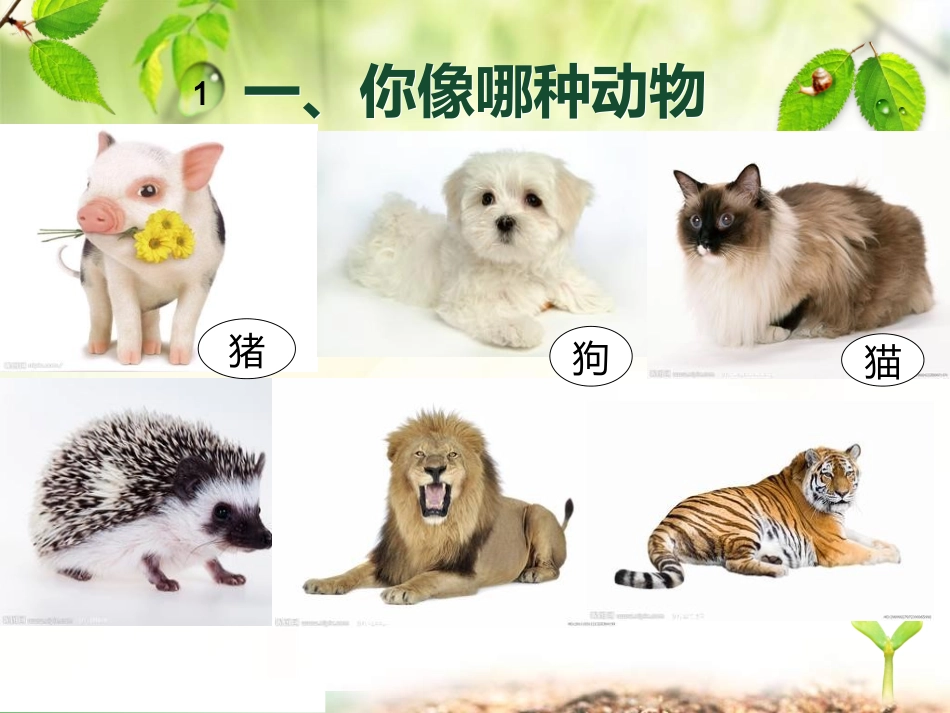 认识自我团体活动_第3页