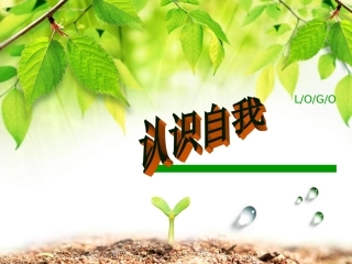 认识自我团体活动
