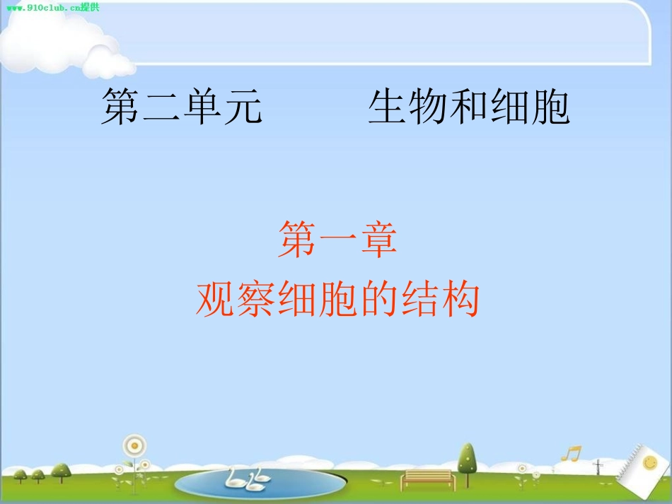 观察植物细胞的结构_第1页