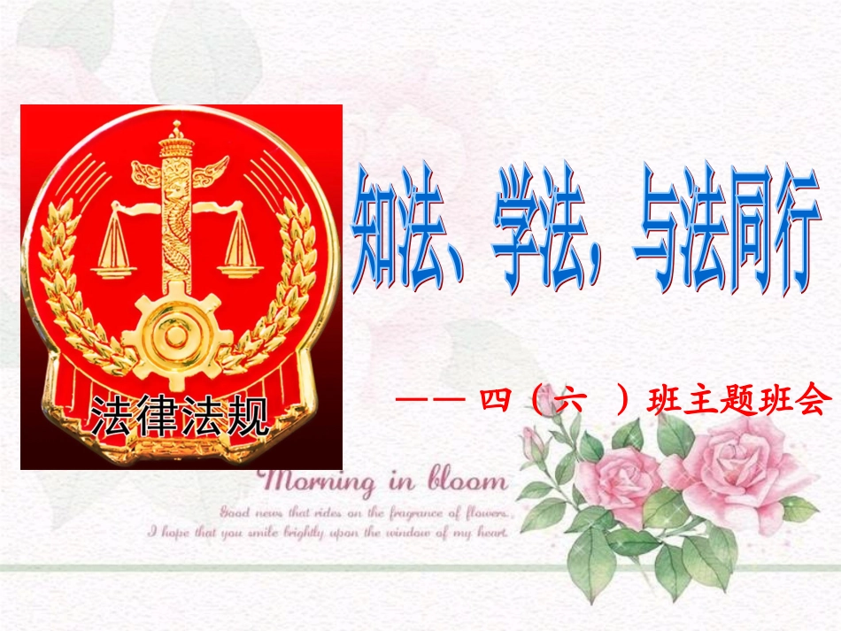 普法班会课件_第1页