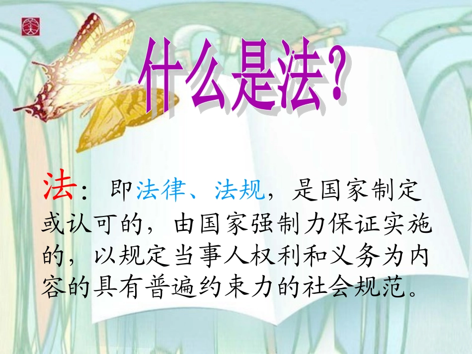 普法班会课件_第2页