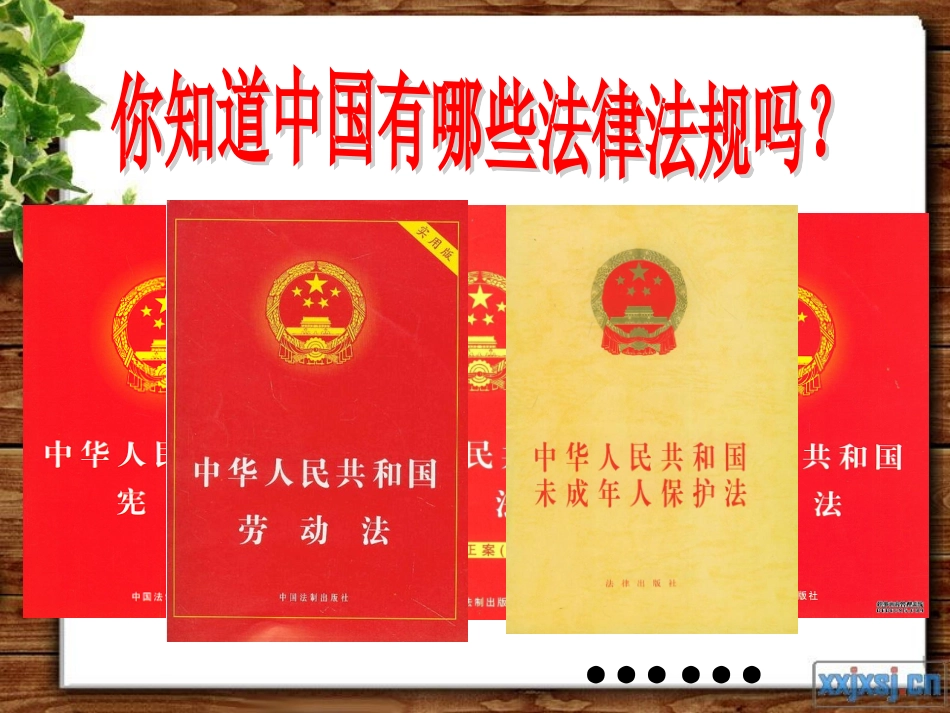 普法班会课件_第3页