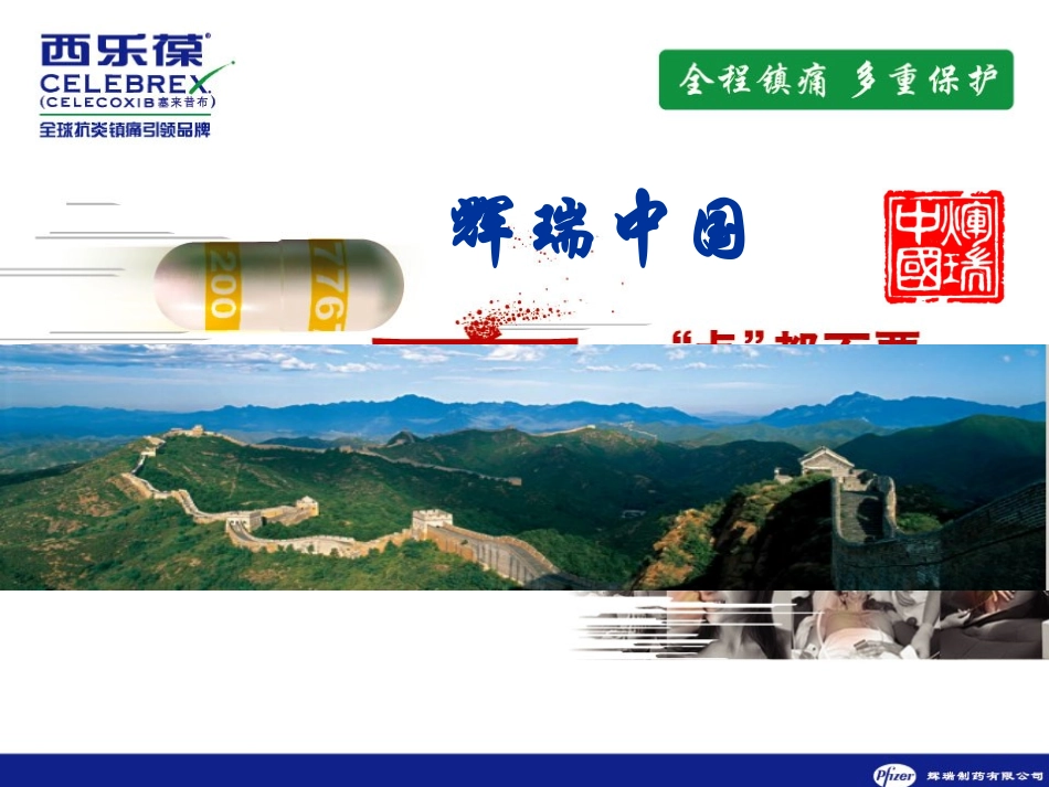 西乐葆骨科围手术期镇痛_第1页