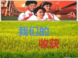 17周主题班会我们的收获