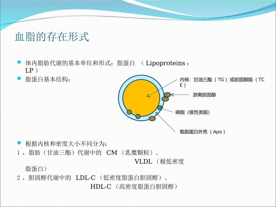 血脂构成及OS形成机理-高血脂症机理及靶点归纳_第2页