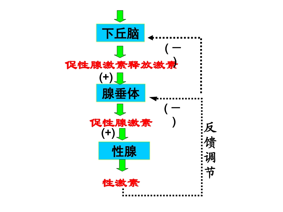 血糖平衡与调节_第2页