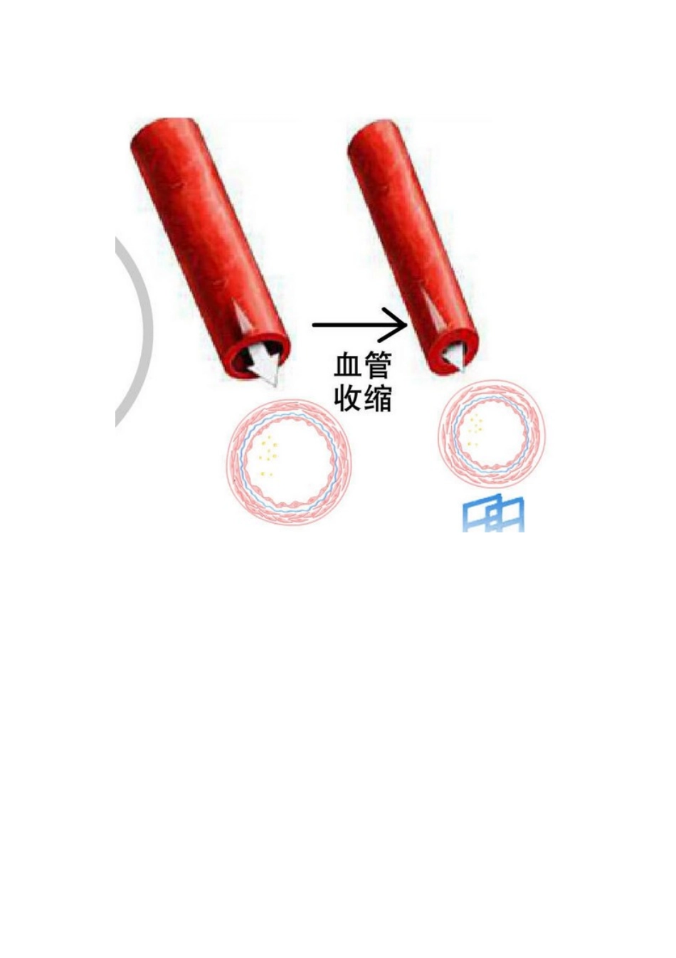 血糖定义及常见食物升糖指数(GI)值_第3页