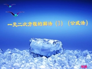 21.2.3公式
