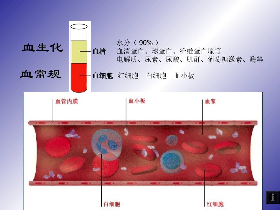 血生化血常规的意义_第2页