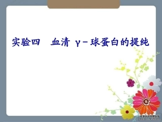 血清γ-球蛋白的提纯