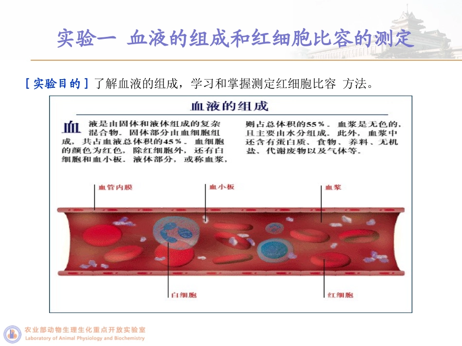 血液生理试验_第2页
