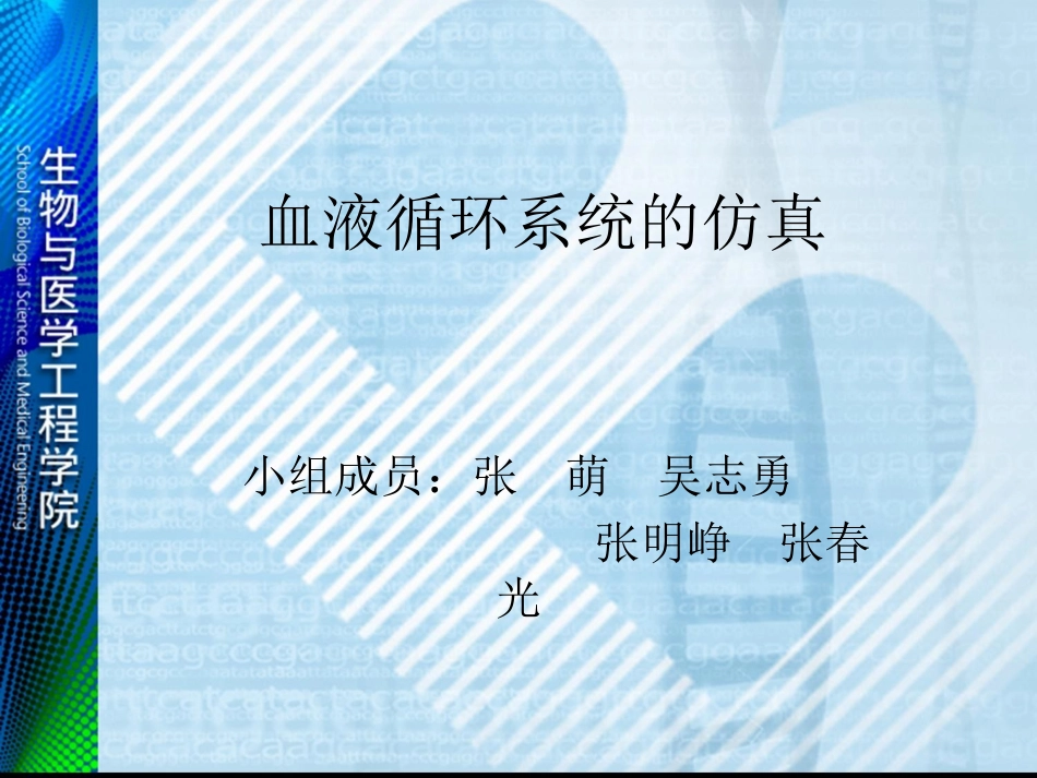 血液循环系统模型_第1页