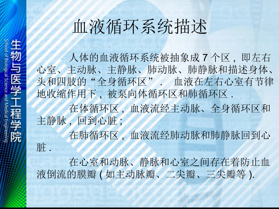 血液循环系统模型_第2页