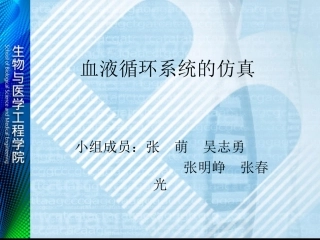 血液循环系统模型