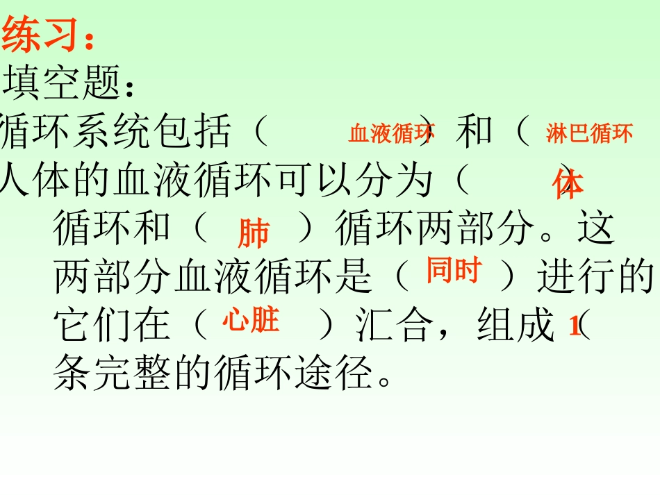 血液循环-左心室_第2页