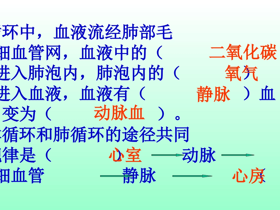 血液循环-左心室_第3页