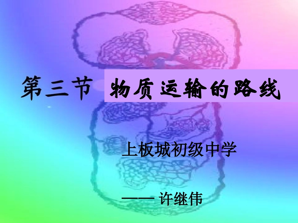 血液循环的路线_第1页
