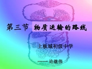 血液循环的路线