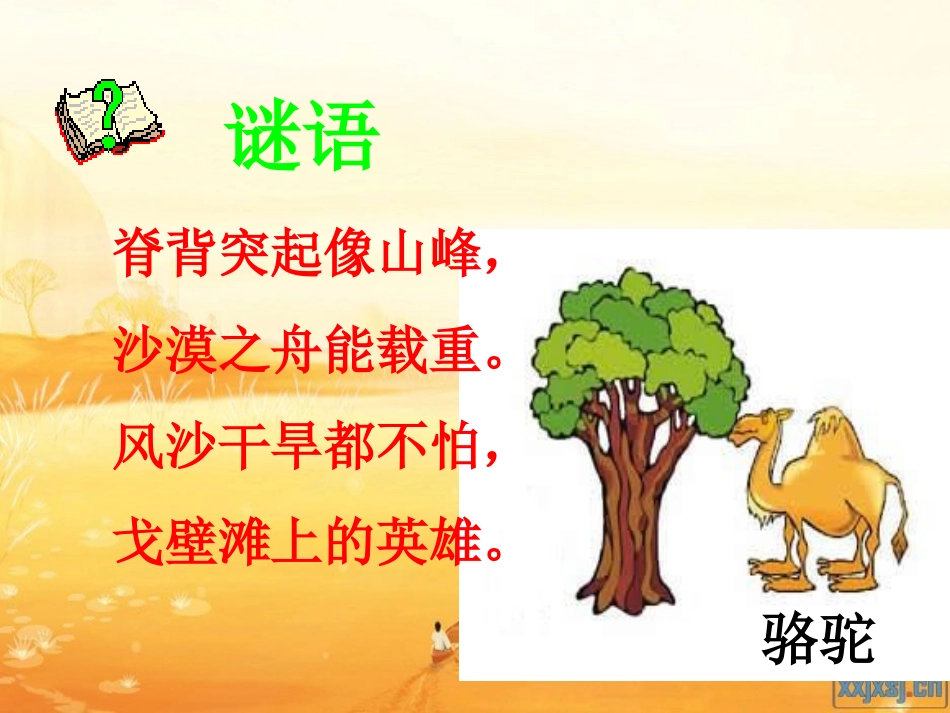 16找骆驼-(2)_第1页