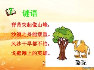 16找骆驼-(2)